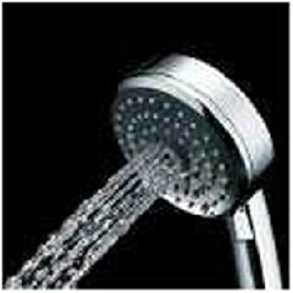 Kakudai Four-Way Shower Head Vittario Comfort 100 #GR-2609400J