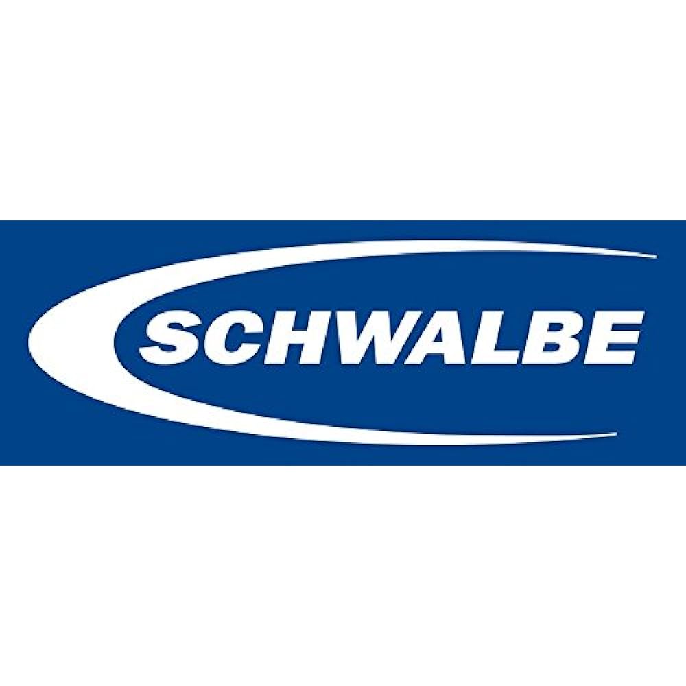 SCHWALBE Tubeless Valve 2 Pieces Presta Style/Valve Length 40mm [Parallel Import]
