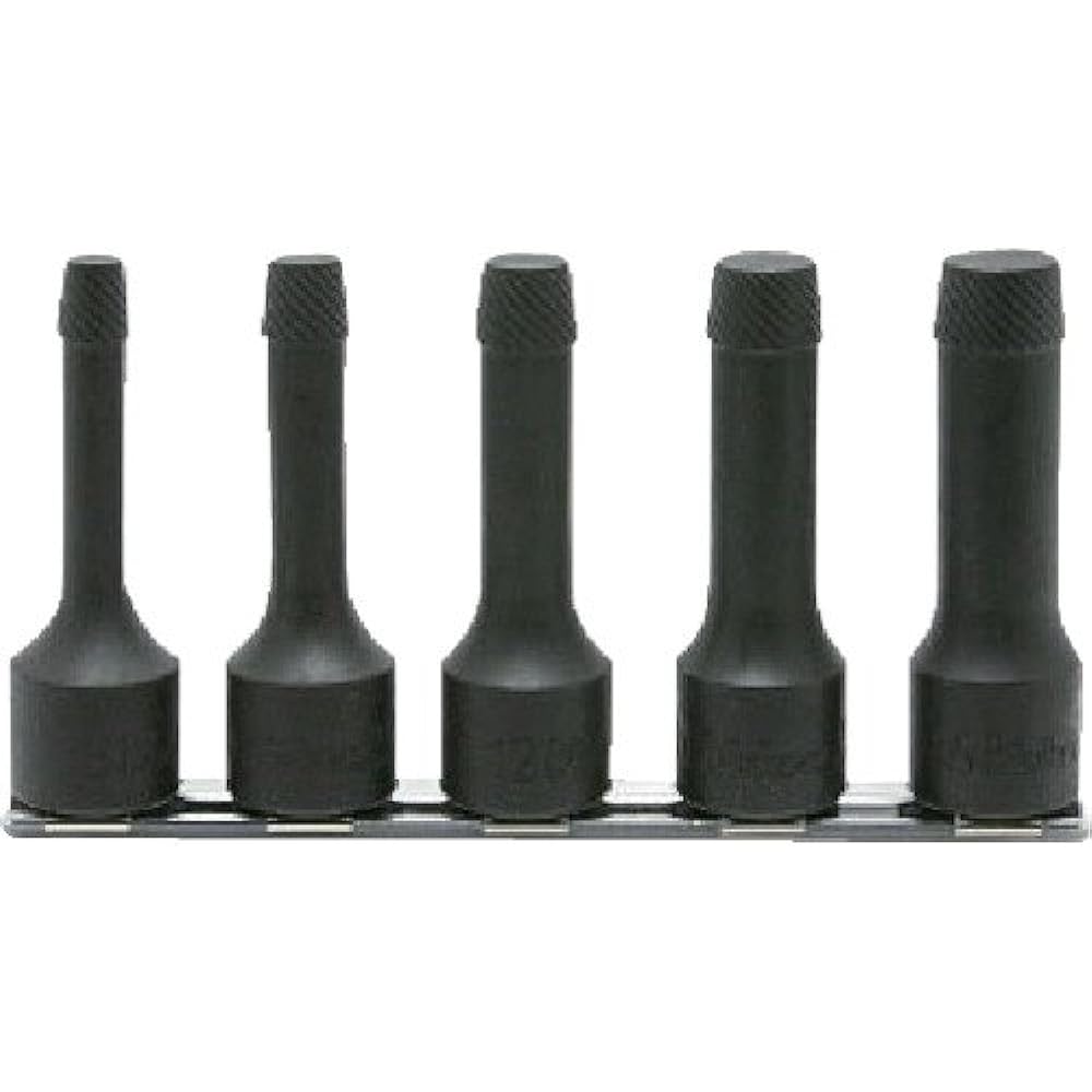 Yamashita Industrial Research Institute Koken 3/8 (9.5mm) SQ. Bolt Twister Rail Set Total Length 60mm 6 Piece Set RS3129/6-L60