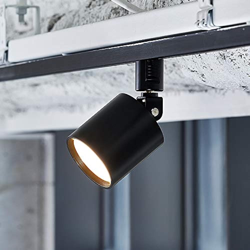Artwork Studio Grid Swingable Duct Downlight for Lighting Rail Built-in LED Dark Silver AW-0557E
