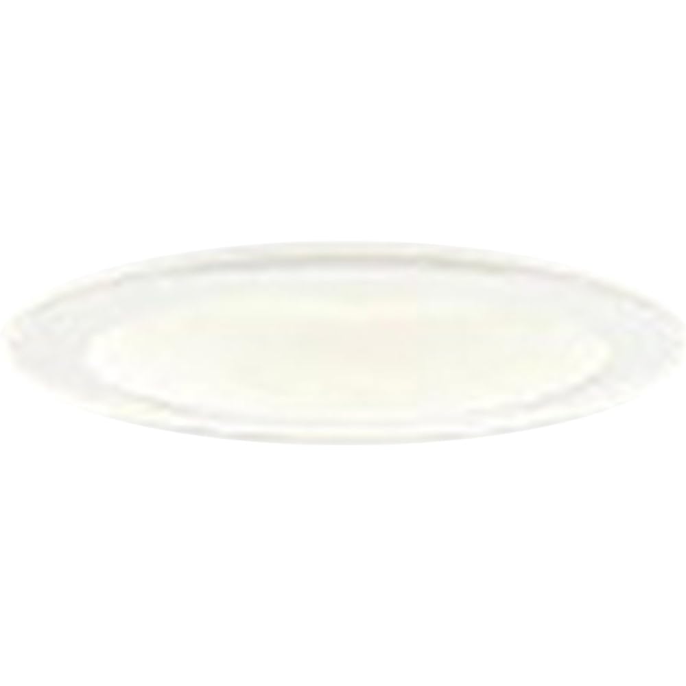 Panasonic LED downlight 60 type concentrating warm white LGB73401LB1