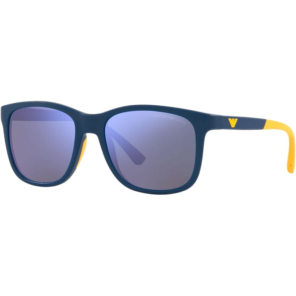 [Emporio Armani] Sunglasses EA4184F