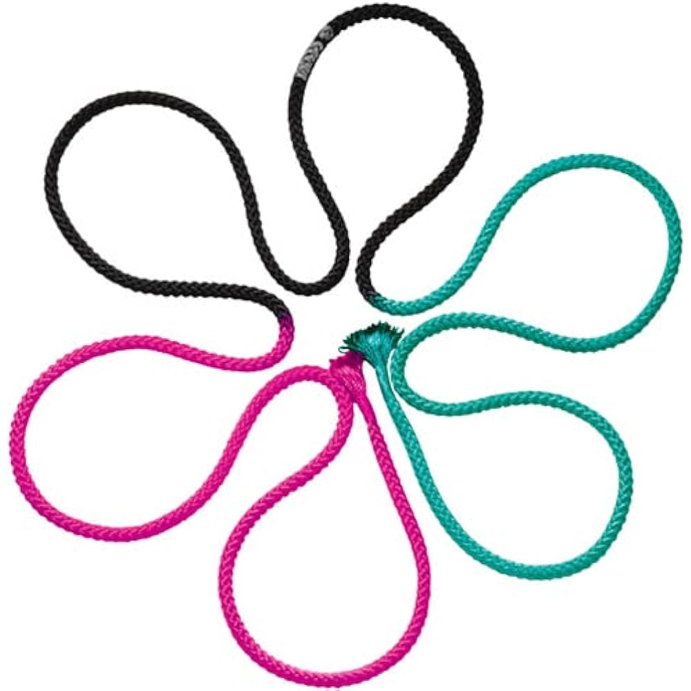 Sasaki Sports (SASAKI) Rhythmic Gymnastics Equipment 3 Color Rope M-280G-F International Gymnastics Federation Certified Product Length 3m/Diameter 1cm