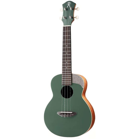 aNueNue UC10 BF Concert Ukulele Pantone Color Series Star Design Inlay Anuenue
