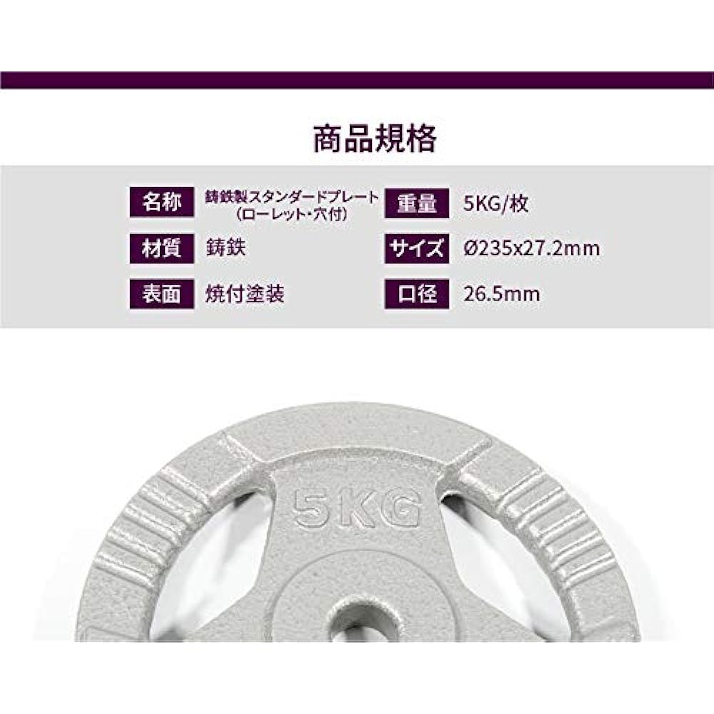 Absport Iron Plate (With Holes)/5KG A1-40 50191
