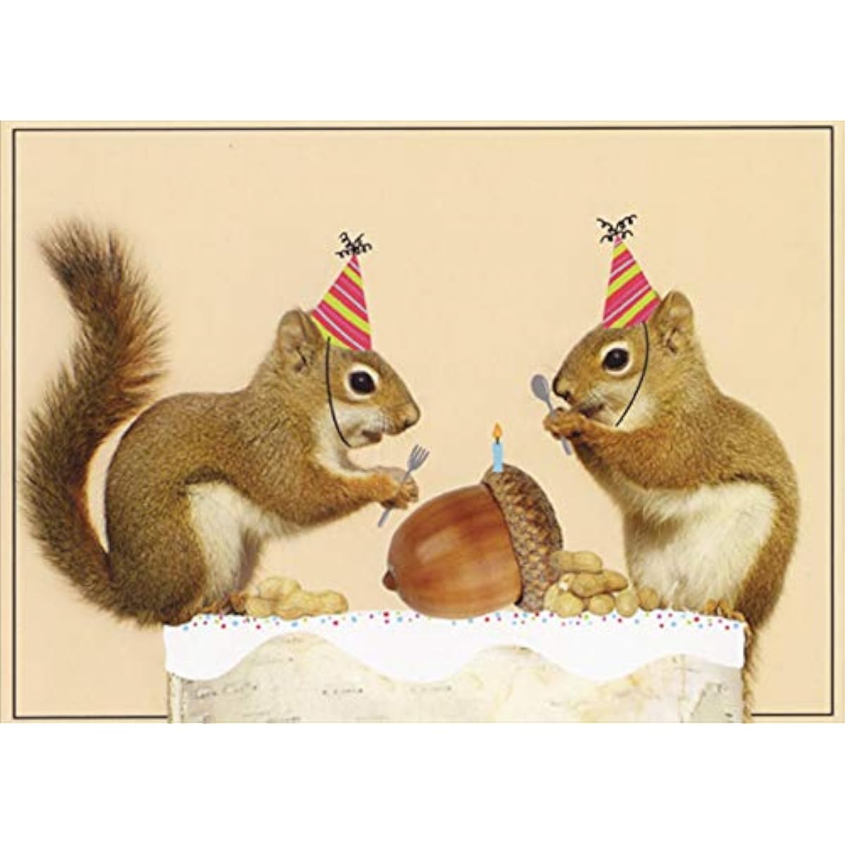 Designer Greetings Squirrel and Birthday Candle with Acorn Funny/Humorous Birthday Card