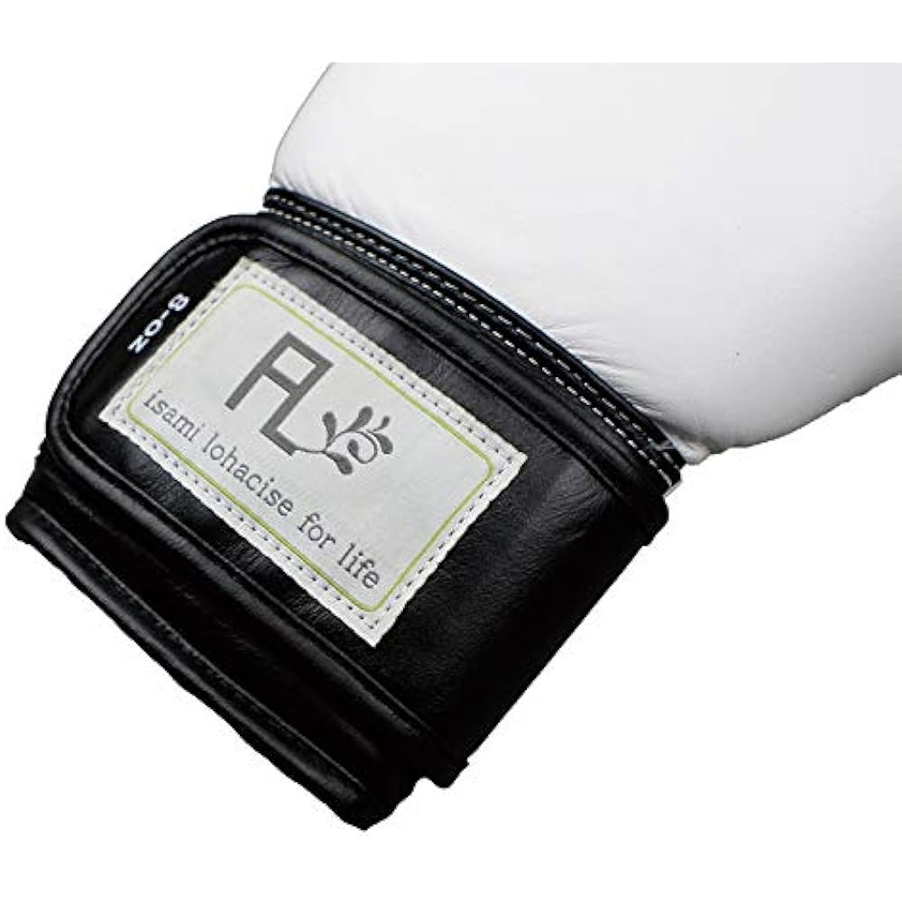 ISAMI Fighting LOHAS Stylish Boxing Gloves FL-108_FL-110