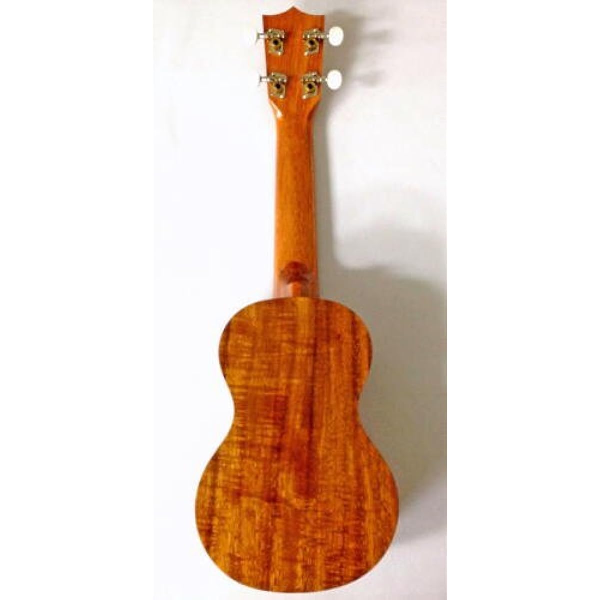 Famous Ukulele FS-5G