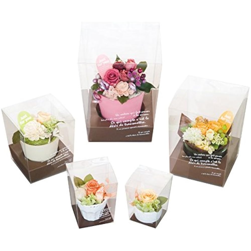 Flower clear box BKF main body-S (10 pieces) B-BKF-FBS