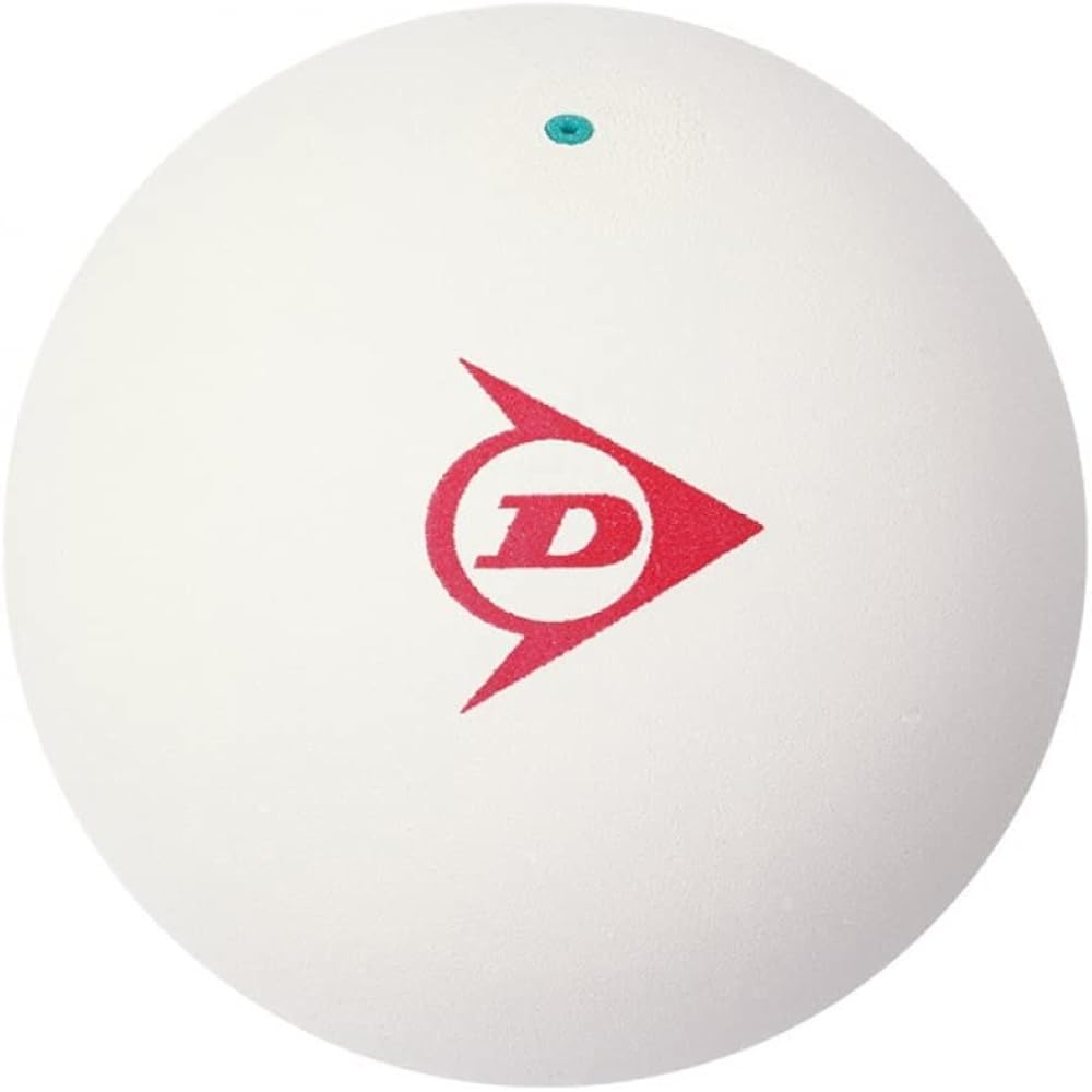 DUNLOP Soft Tennis Ball Officially Licensed Ball White DSTB2DOZ