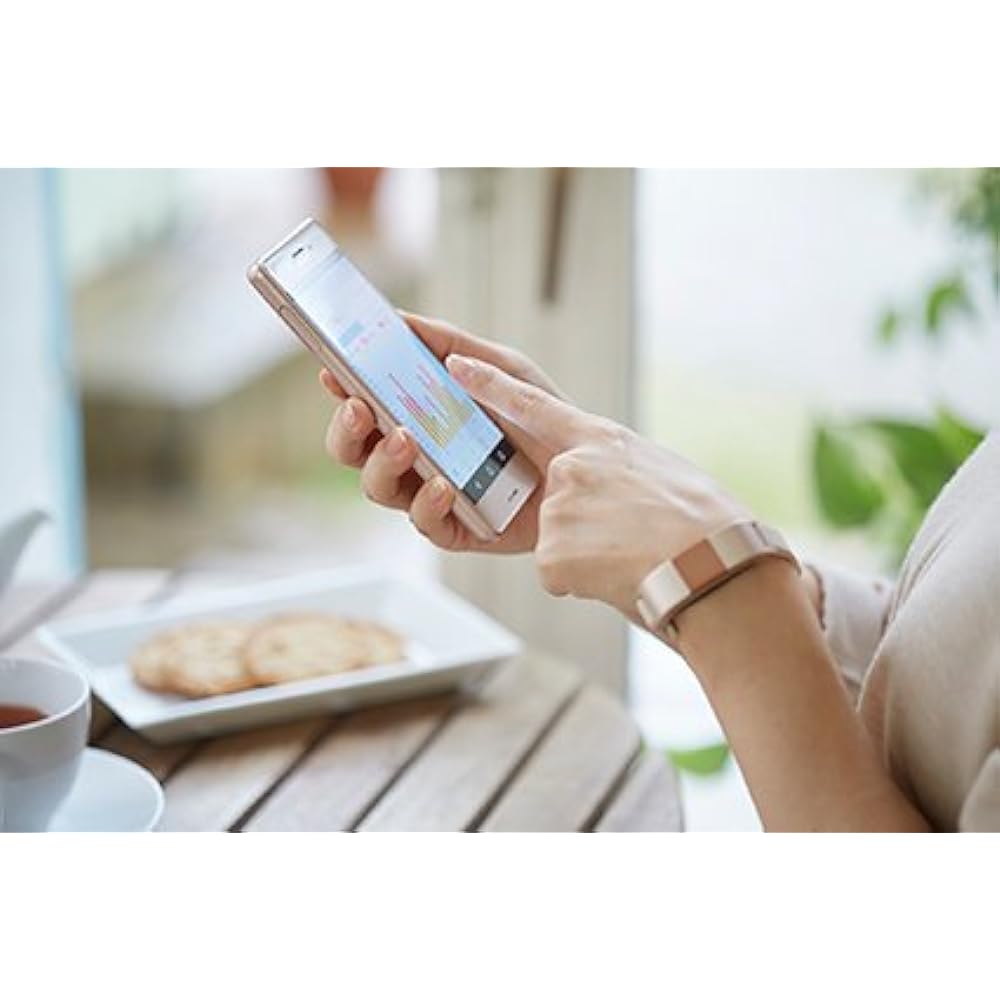 Wristband-type activity meter Docomo Healthcare Move Band 3 WMB-03 (Silver)