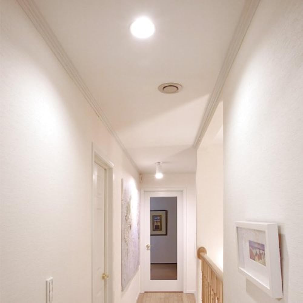 IRIS Ohyama LED Light Bulb with Motion Sensor, Small Bulb Type, 3.9W (Total Luminous Flux: 300 lm/Equivalent to Daylight White) [For Diagonal Installation Only] IRIS LDA4N-H-E17SH Base Diameter 17mm