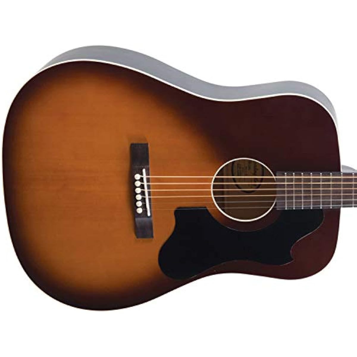 RECORDING KING Acoustic Guitar RDS-9-TS