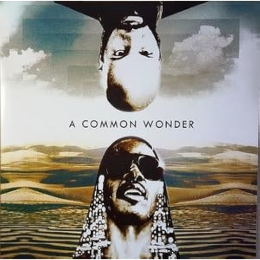 Amerigo Gazaway - A Common Wonder Limited edition 2-disc vinyl record with 1 bonus track