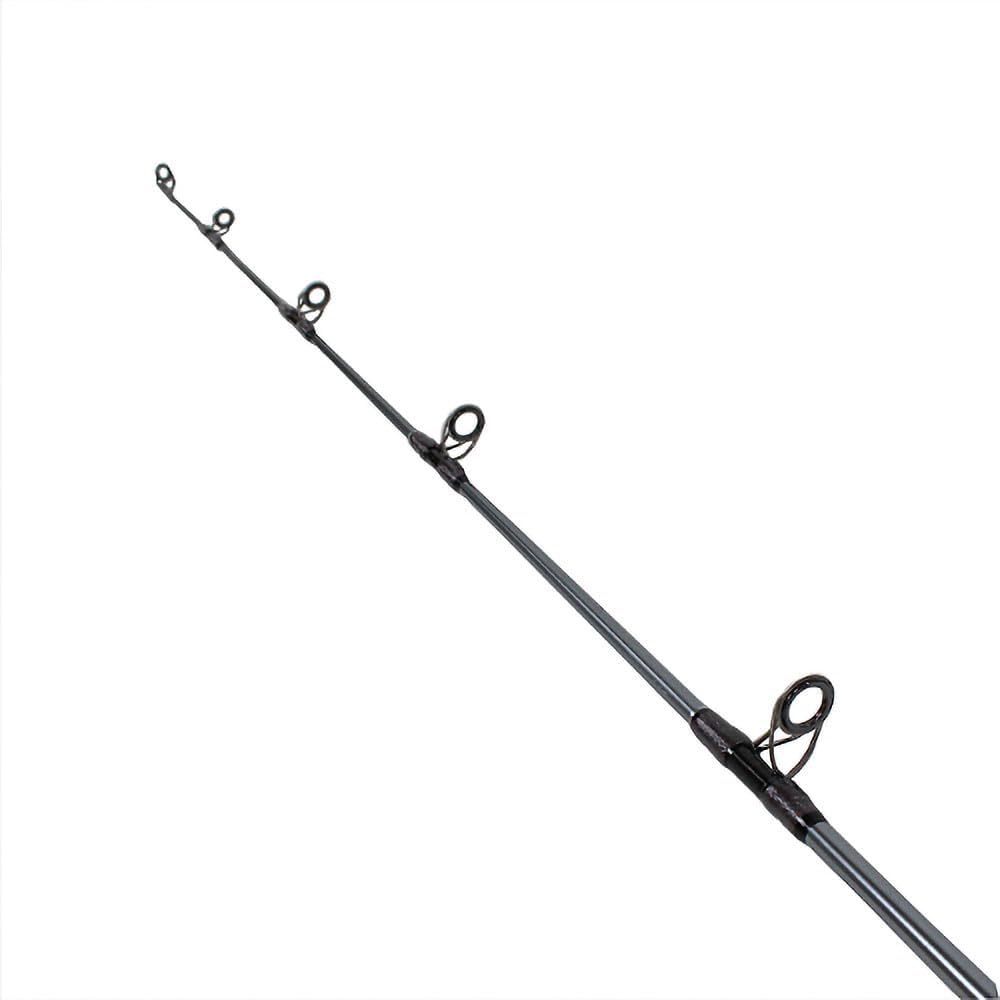 Shares SOLFIESTA SPATHA / 602S/ML-RF