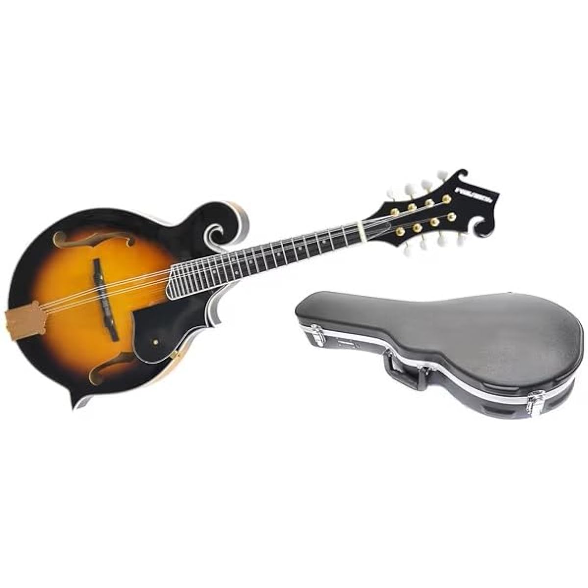 PLAYTECH F Style Flat Mandolin Hard Case Set