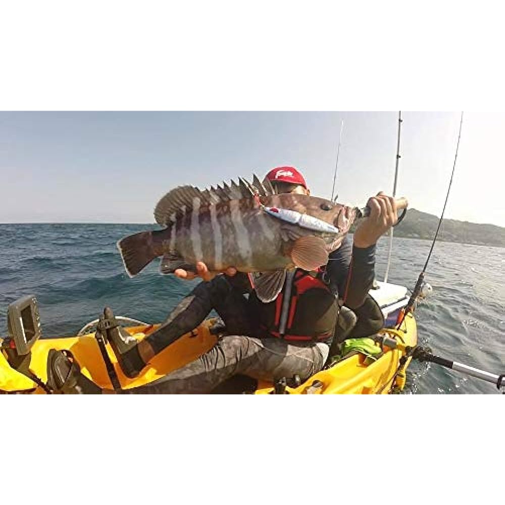 FMB JAPAN ZEN 120g Squid Glow