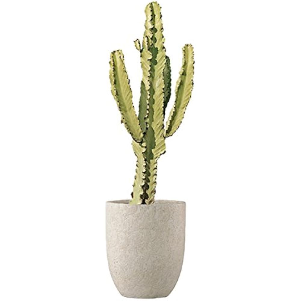 Green Pot Folio Alto Egg Cream 31×36.5cm EB-SL226031CR