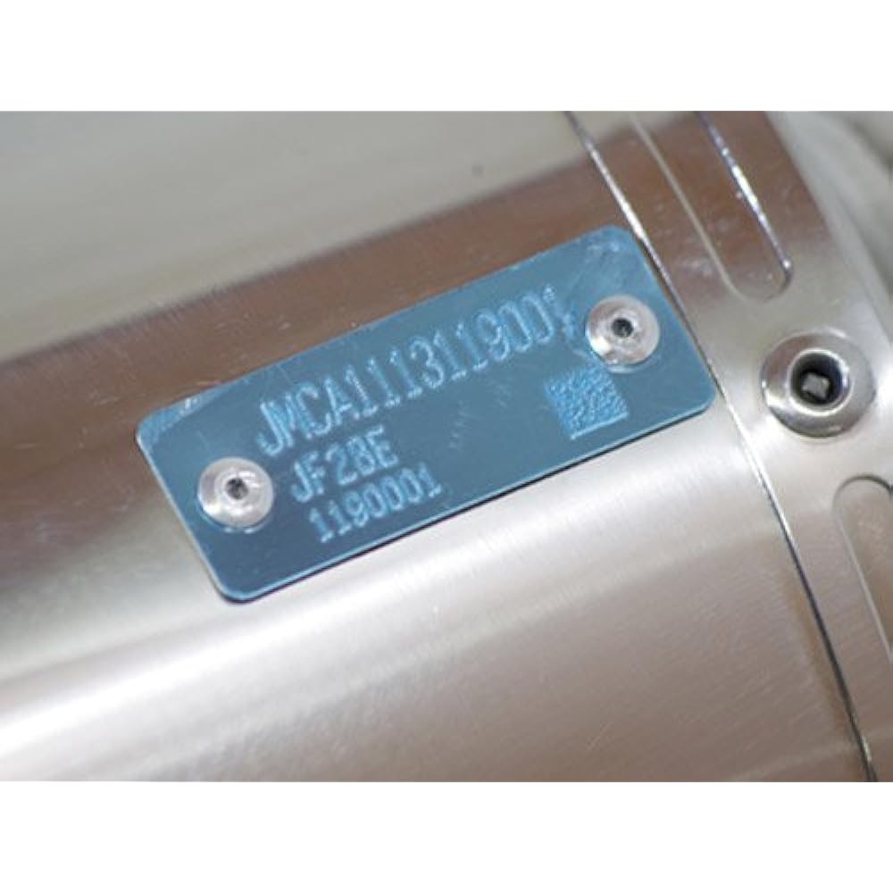 World walk Power silent muffler for Cygnus X SE44J [Government/JMCA certified model] pse-6