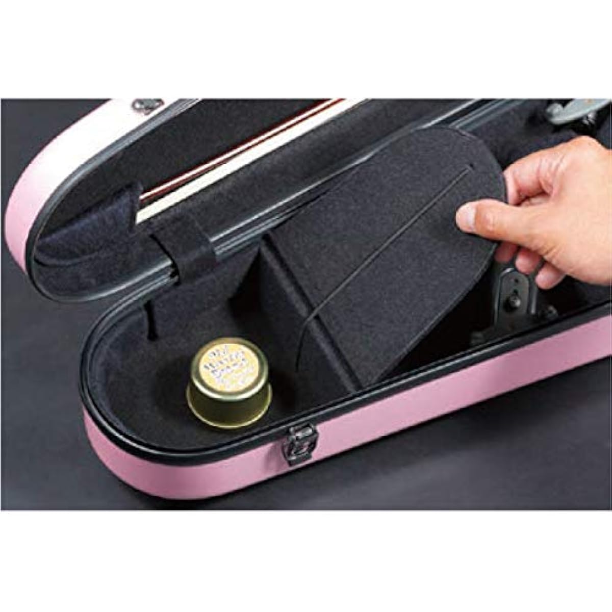 EASTMAN Violin Hard Case 4/4 Standard Silver Eastman