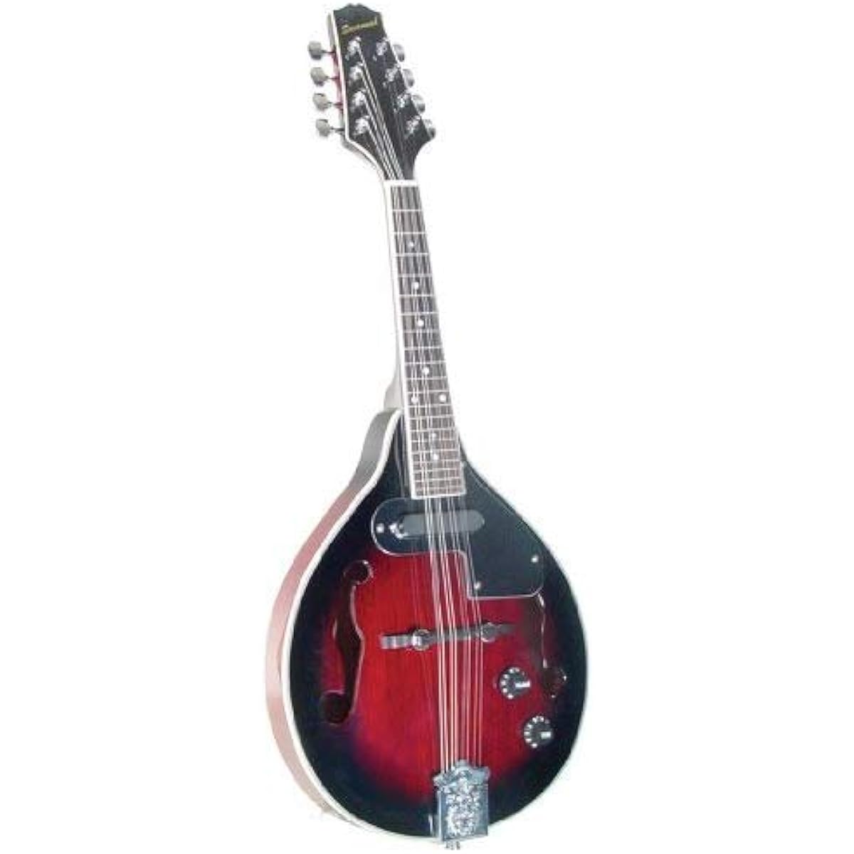 Savannah SA-115-E Madison Mandolin [Parallel Input Product]