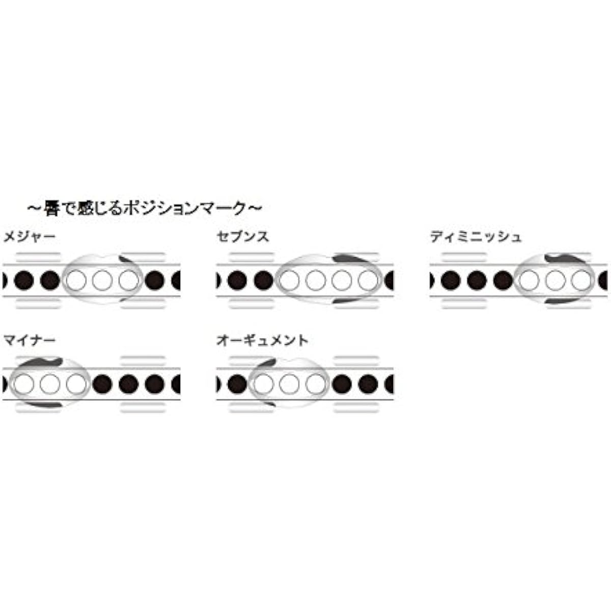 SUZUKI sliding cord harmonica SSCH-56