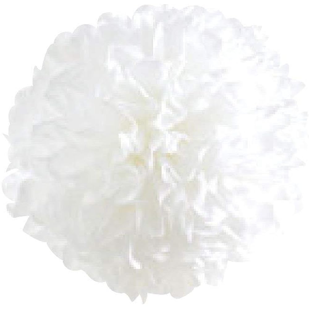 Ashika Paper Flower Paper Five Colored Cranes 500 Sheets White 10 Books No.12-10P