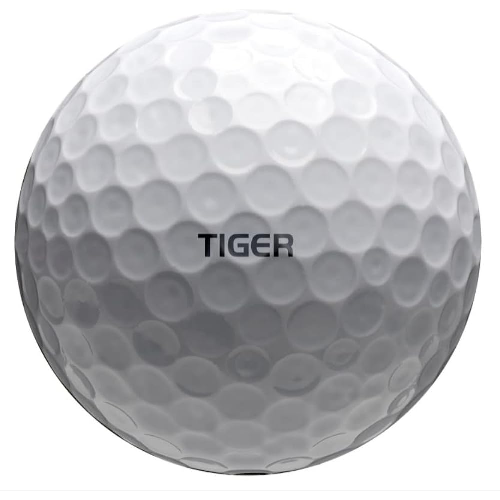 Bridgestone Golf TOUR B XS 2022 TIGER Specification Model Golf Balls 1 Dozen (12 Balls) BRIDGESTONE GOLF USA Direct Import White