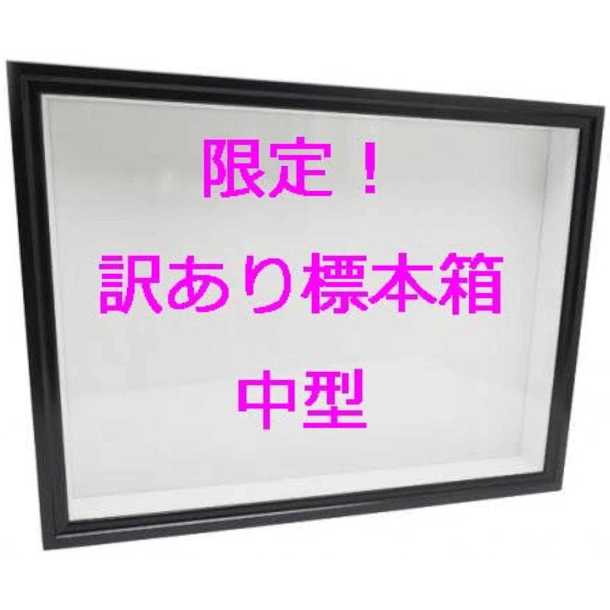 [Special price limited item] Medium-sized German-style specimen box *I have read and agreed to the description (brown)