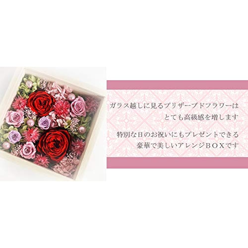Fradeco Preserved Flower [Fool] (Red)