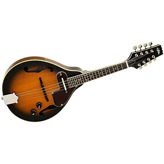 ARIA Mandolin AM-20E Mandolin