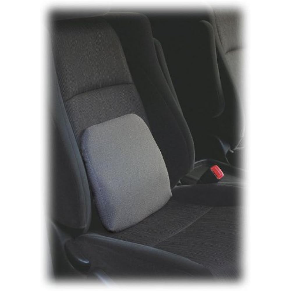 Sanshin Kosan Sorbo Rakuraku Lumbar Support Gray