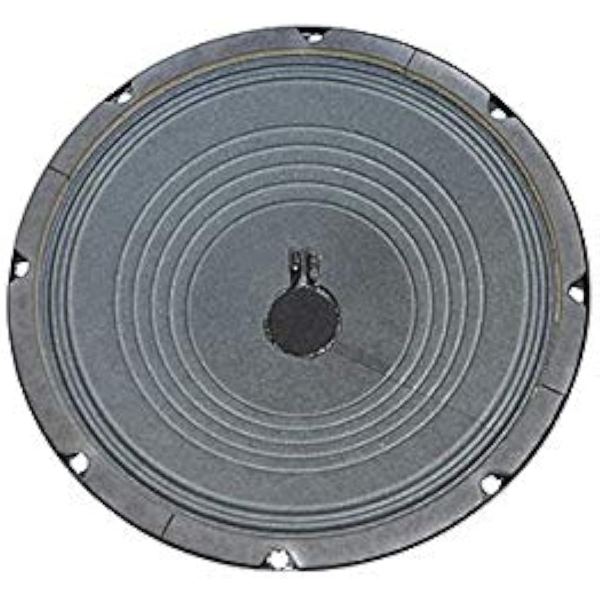 JENSEN P10R 8Ω Guitar Amplifier Speaker Unit