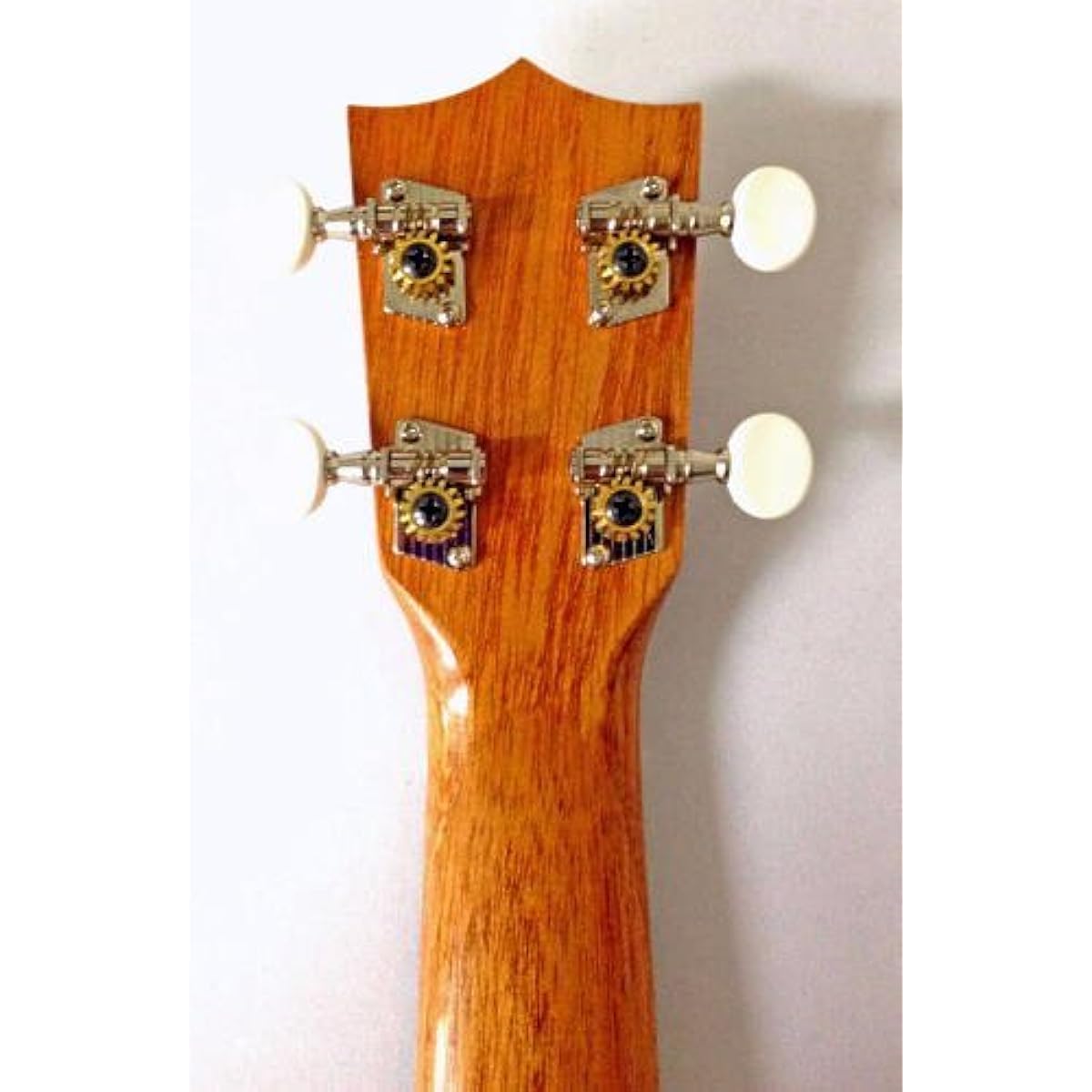 Famous Ukulele FS-5G