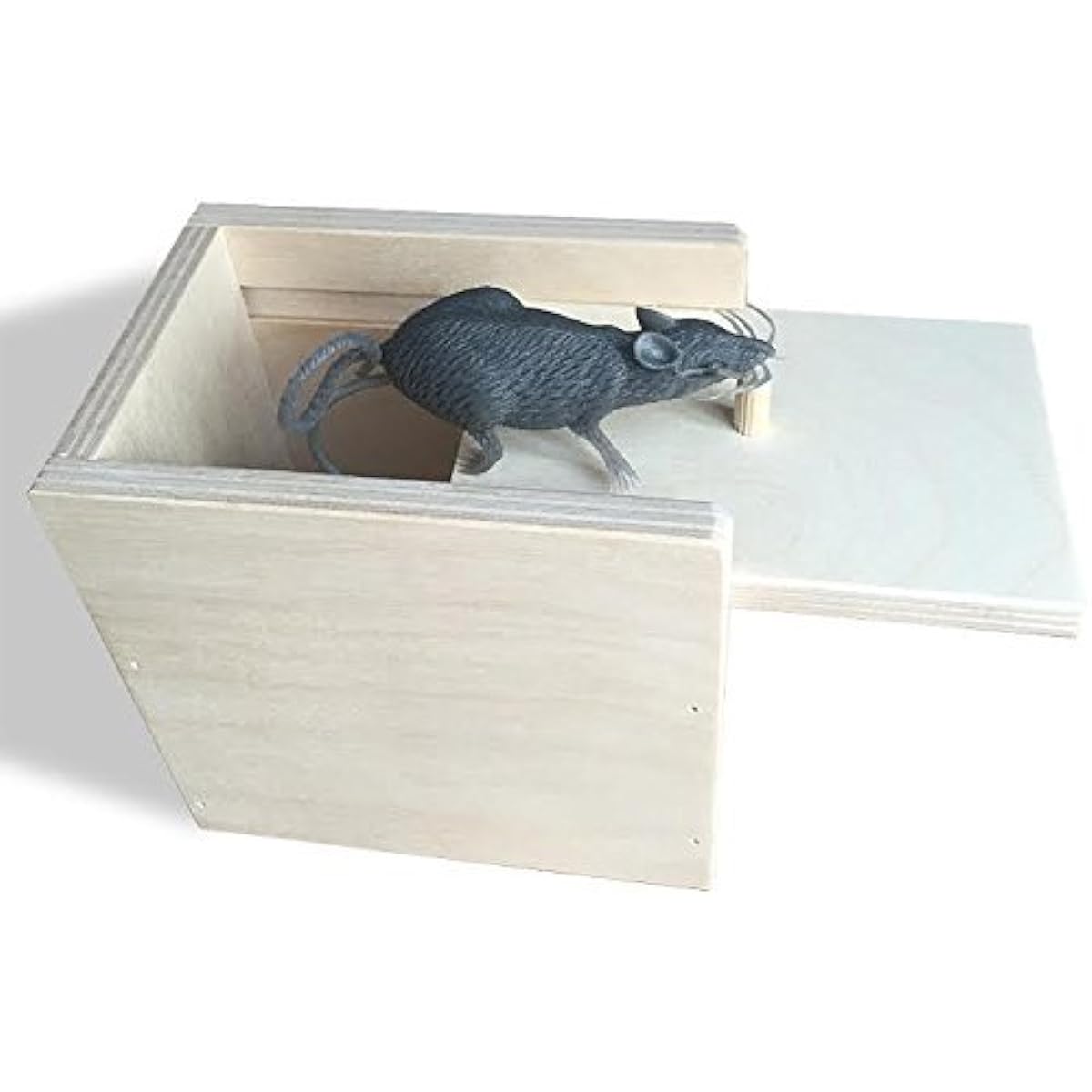 Glori-Be Funny Scary Box Mouse Prank - Wooden Scary Joke Trick for Strangers, Funny, Inexpensive, Unique! Laughs