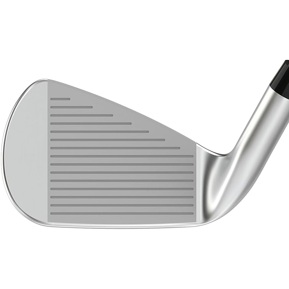 DUNLOP XXIO X Golf Iron 2023 Model DG95 Steel Shaft [Model with catalog genuine shaft installed] Men's Right Golf Club