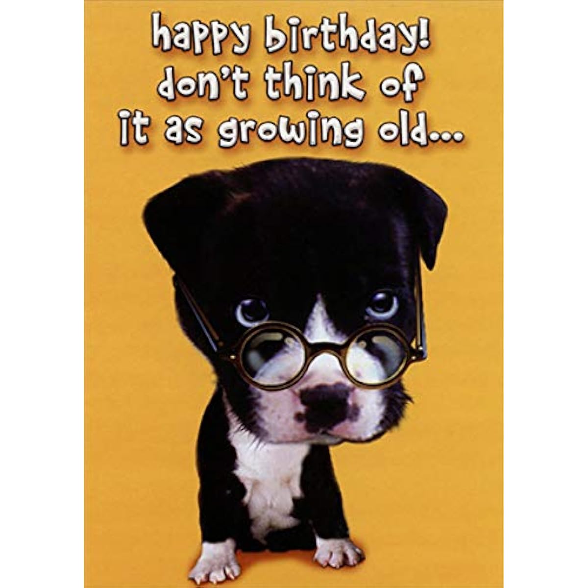 Designer Greetings Dog Wears glasses on Nose Funny : Humorous Over the Hill Insult Birthday Card for Him : Man : Men