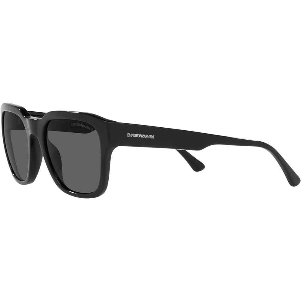 [Emporio Armani] Sunglasses EA4175F
