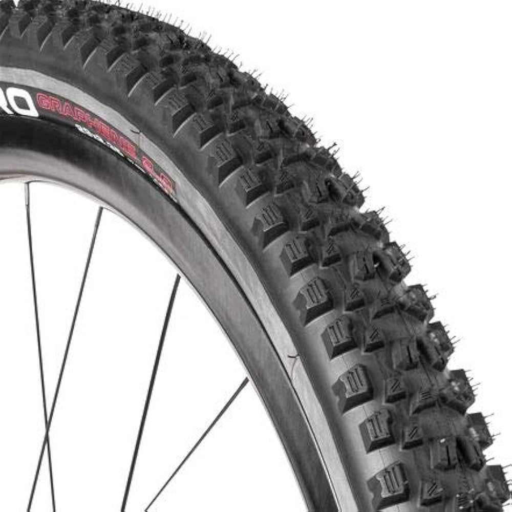 Vittoria E Agarro G2.0 Trail Tube Nontube [e-Agarro G2.0(Trail TNT)] Black/Gray