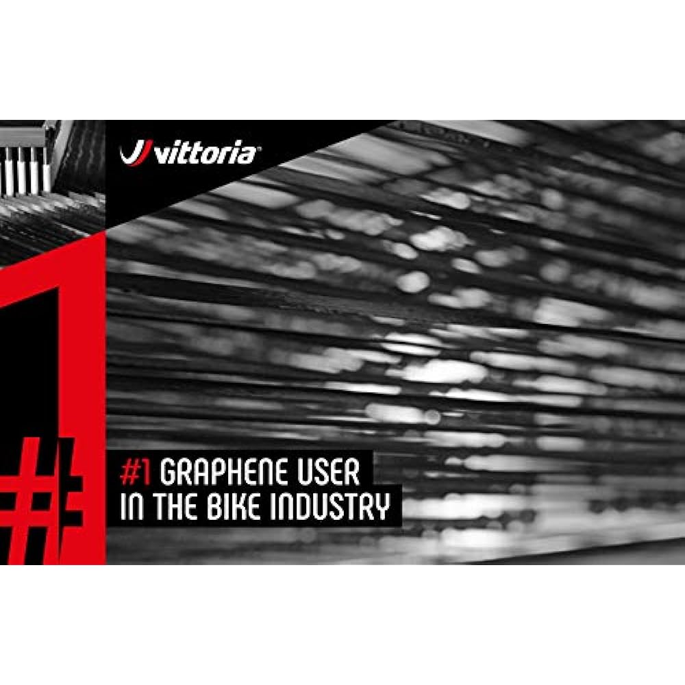 Vittoria Pista Control G2.0 [Pista Control G2.0] Black/Skin Side [Casing: Cotton 290TPI]