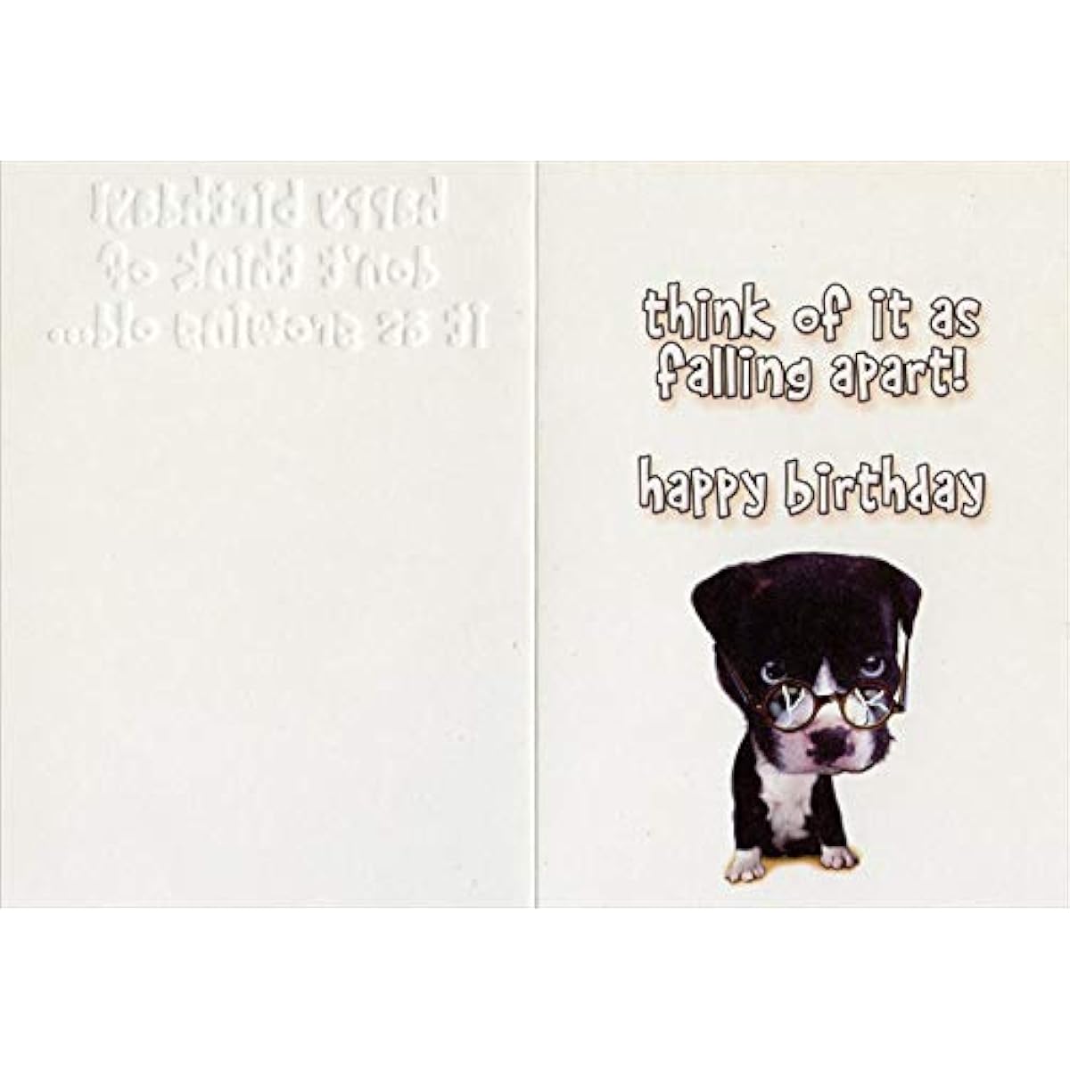 Designer Greetings Dog Wears glasses on Nose Funny : Humorous Over the Hill Insult Birthday Card for Him : Man : Men