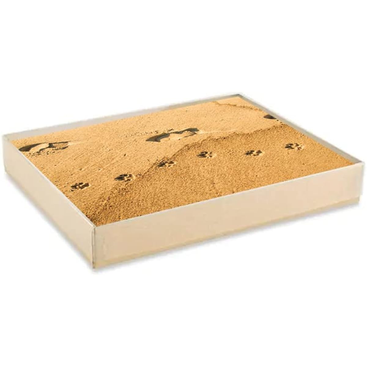 Glory To Dog They Walk Beside Us Every Day Pet Memorial/Sympathy Greeting Cards Boxed Set of 12 Cards and Envelopes