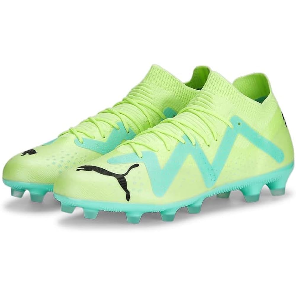(PUMA) PUMA Future Match HG/AG