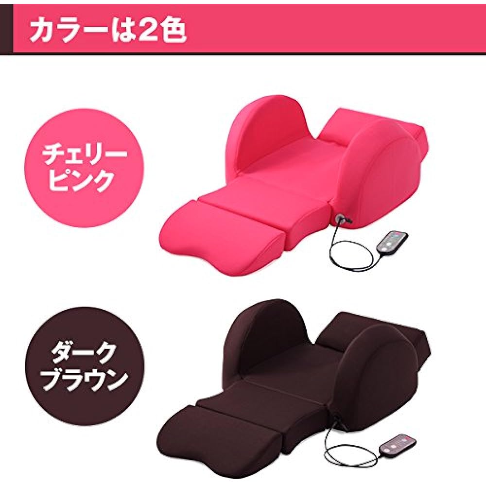 Ashiya Beauty Chiropractic Pelvic Slim 3D Air / Dark Brown / Pelvis Stretching Tightening Waist Thighs Lower Back [TBS Shopping]