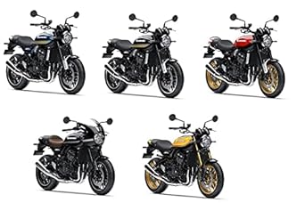 Kawasaki 2022 Z900RS/Z900RS SE/Z900RS 50th Anniversary Indicator Cover Silver Genuine Accessory 999941016