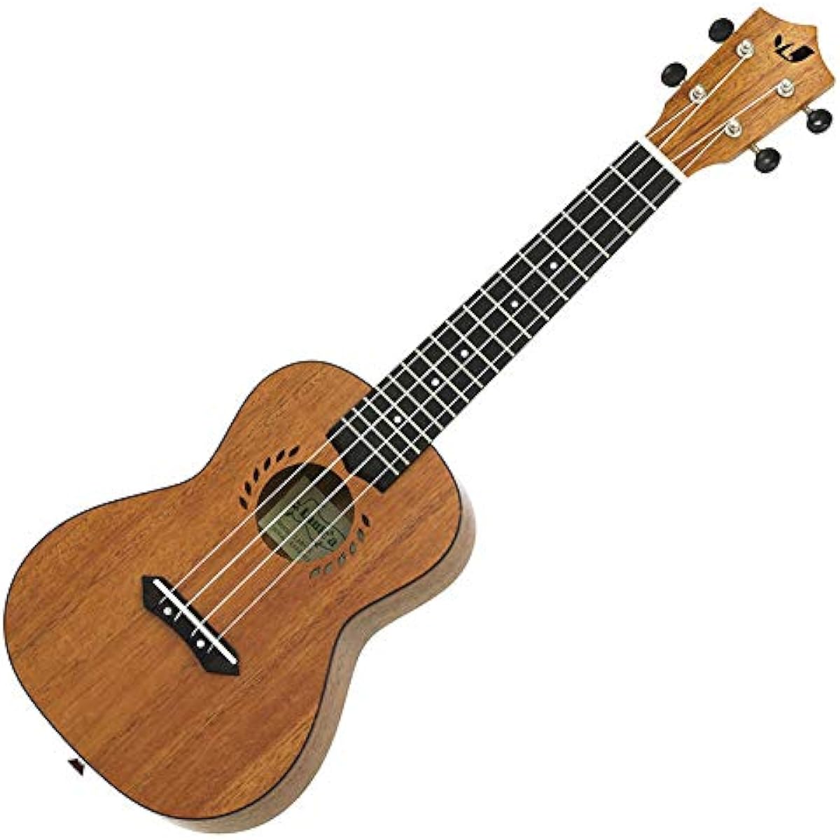 Laule'a LAM-2C Concert Ukulele