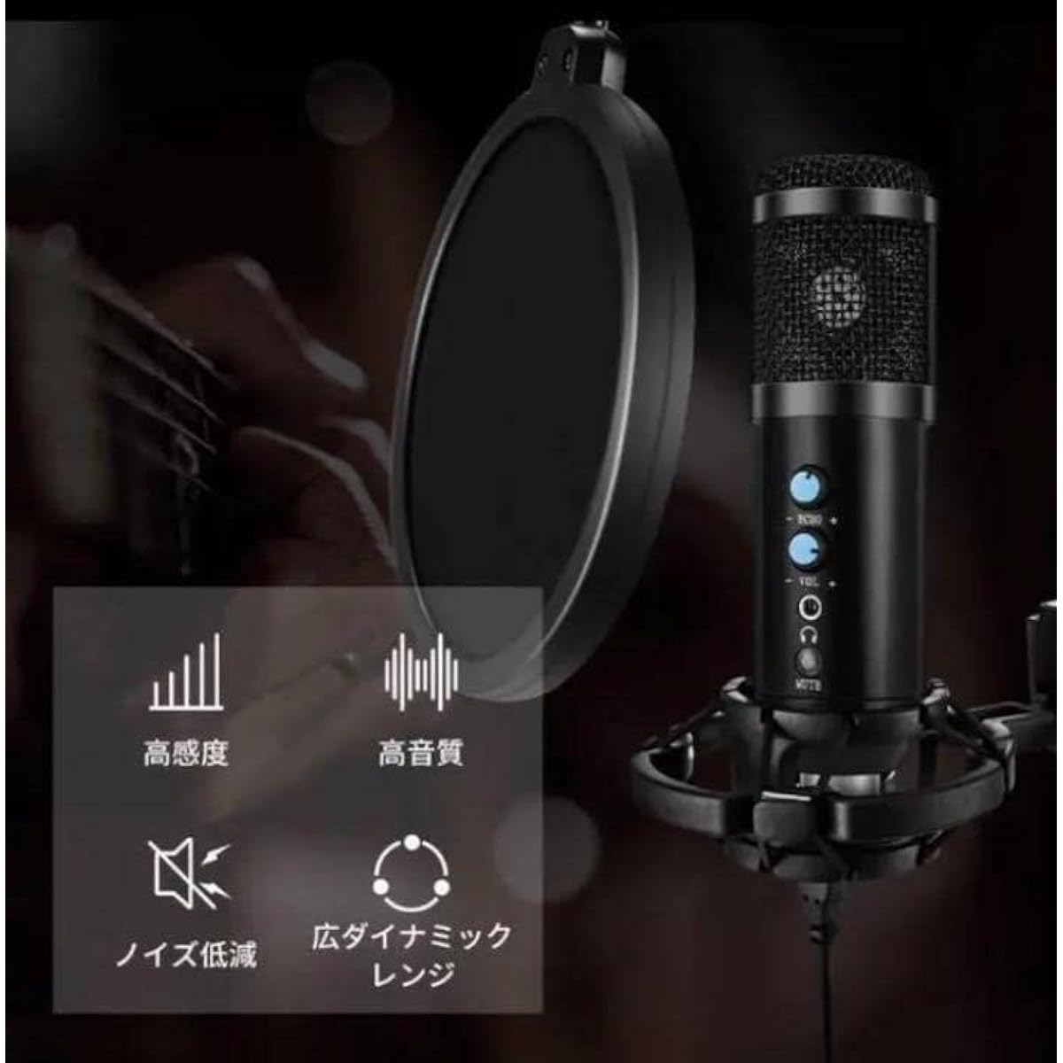 Professional recording at home? Freely adjustable echo? Professional condenser microphone