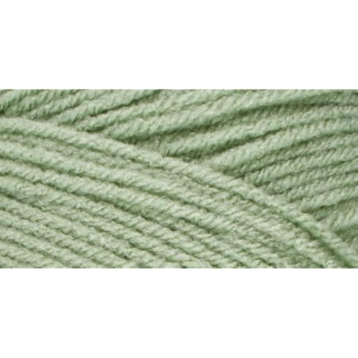 Red Heart Frosty Green Super Saver Yarn 6 Pack