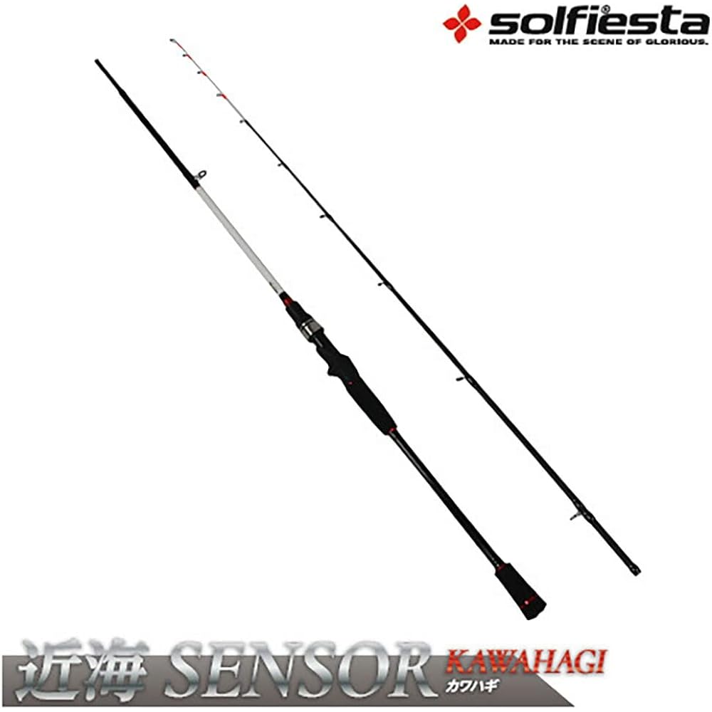solfiesta (Solfesta) Near sea SENSOR KAWAHAGI 165 for filefish only