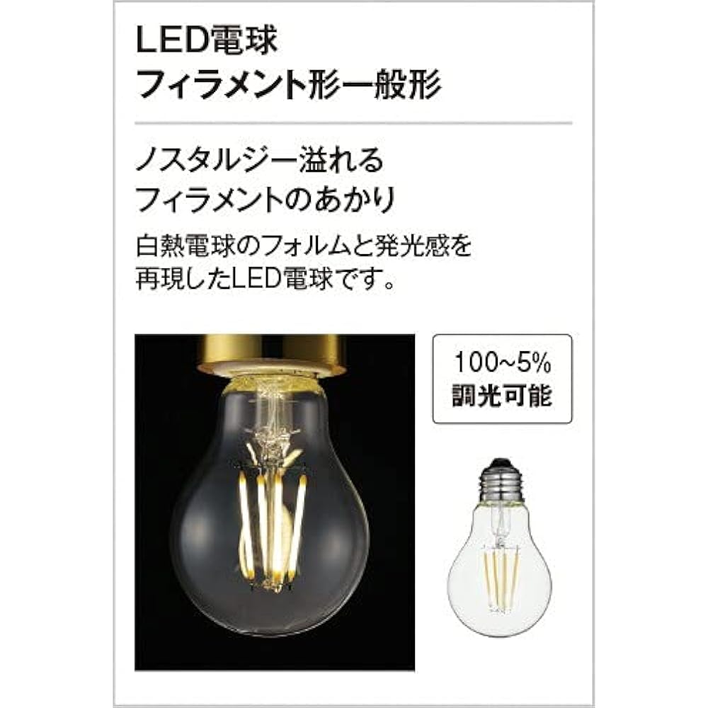 Orderic Exterior LED Porch Light, Equivalent to 40W Incandescent Light, Rainproof, Bulb Color, White: OG041689LC1